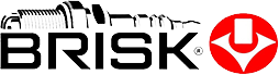 brisk logo